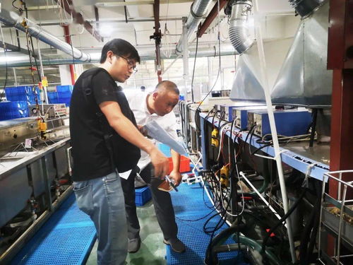 規(guī)范廠中廠，服務小微園 樂清翁垟街道多措并舉繃緊企業(yè)生產(chǎn)安全弦
